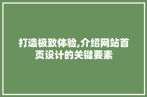 打造极致体验,介绍网站首页设计的关键要素