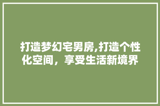 打造梦幻宅男房,打造个性化空间，享受生活新境界