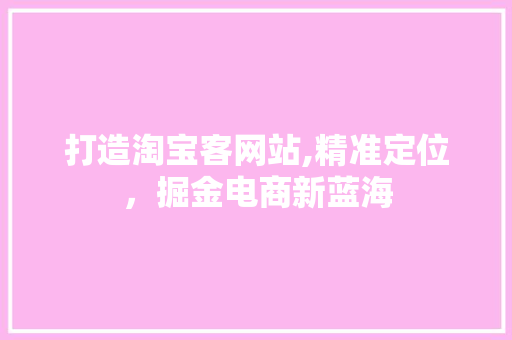 打造淘宝客网站,精准定位，掘金电商新蓝海