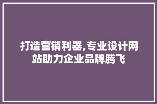 打造营销利器,专业设计网站助力企业品牌腾飞