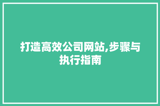 打造高效公司网站,步骤与执行指南