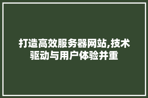 打造高效服务器网站,技术驱动与用户体验并重