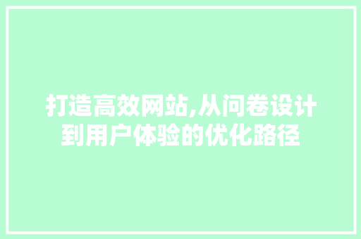 打造高效网站,从问卷设计到用户体验的优化路径