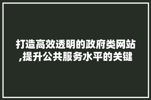 打造高效透明的政府类网站,提升公共服务水平的关键路径