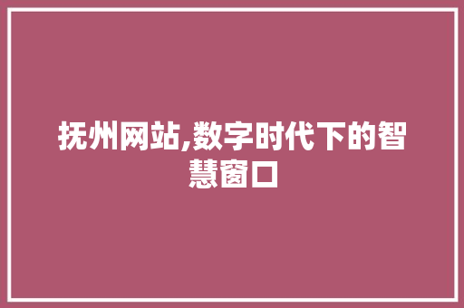 抚州网站,数字时代下的智慧窗口