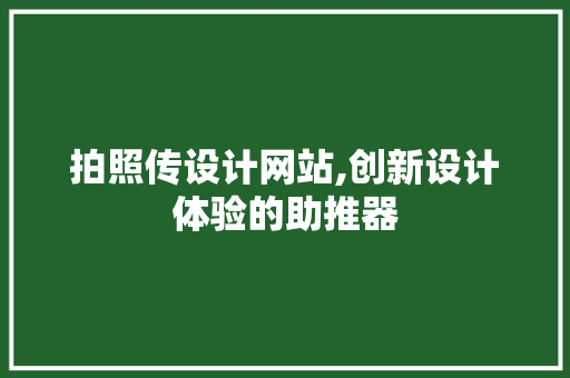 拍照传设计网站,创新设计体验的助推器