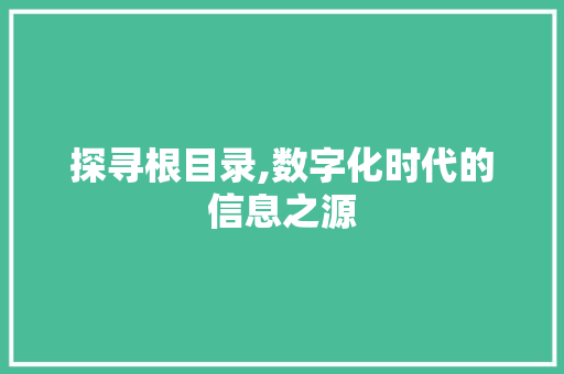 探寻根目录,数字化时代的信息之源