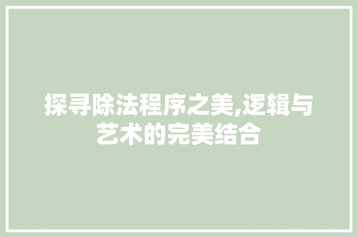 探寻除法程序之美,逻辑与艺术的完美结合