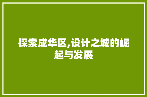 探索成华区,设计之城的崛起与发展