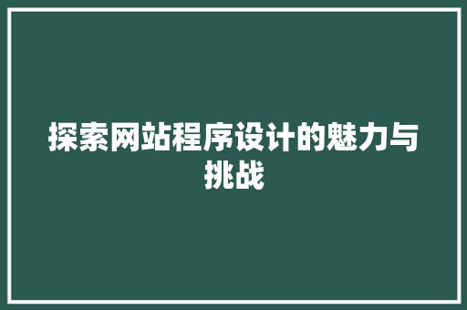 探索网站程序设计的魅力与挑战