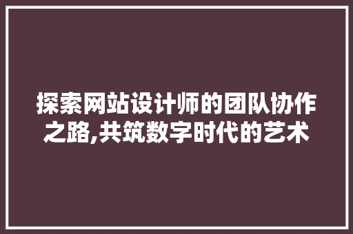 探索网站设计师的团队协作之路,共筑数字时代的艺术殿堂