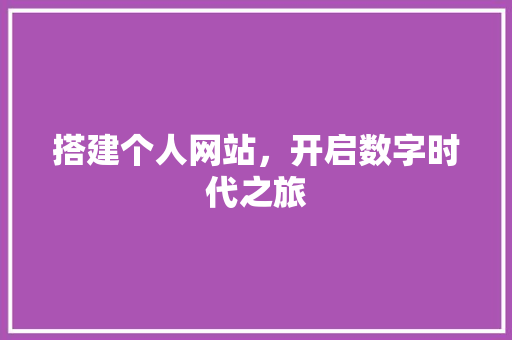 搭建个人网站，开启数字时代之旅