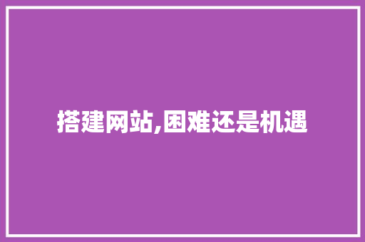 搭建网站,困难还是机遇