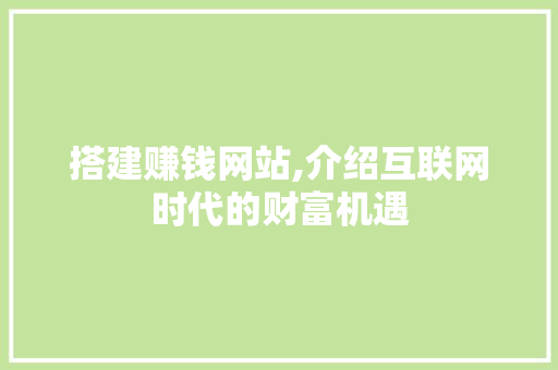 搭建赚钱网站,介绍互联网时代的财富机遇