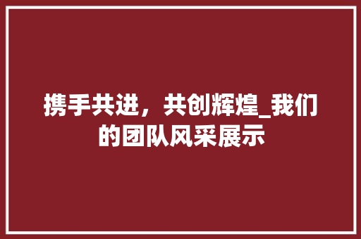 携手共进，共创辉煌_我们的团队风采展示