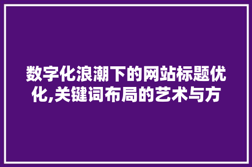 数字化浪潮下的网站标题优化,关键词布局的艺术与方法