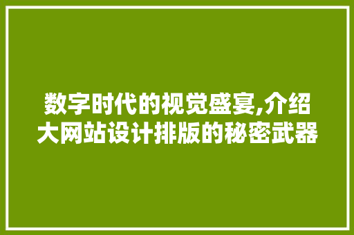 数字时代的视觉盛宴,介绍大网站设计排版的秘密武器