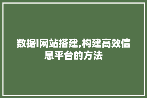 数据i网站搭建,构建高效信息平台的方法