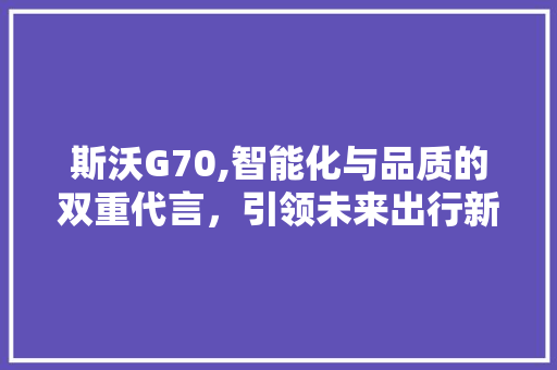 斯沃G70,智能化与品质的双重代言，引领未来出行新潮流