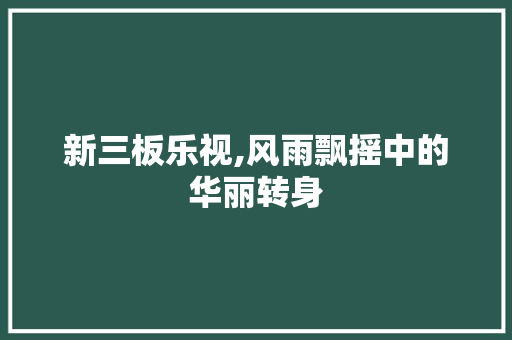 新三板乐视,风雨飘摇中的华丽转身