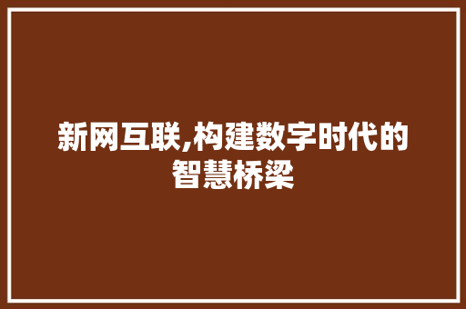 新网互联,构建数字时代的智慧桥梁