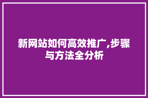 新网站如何高效推广,步骤与方法全分析