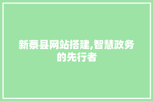 新蔡县网站搭建,智慧政务的先行者