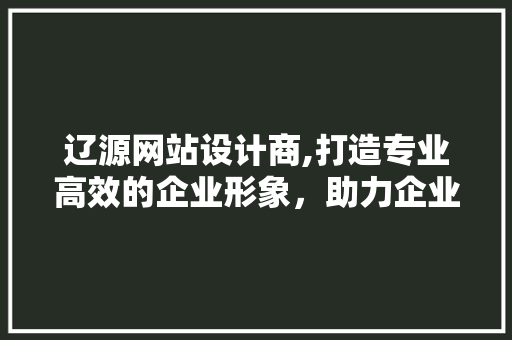 辽源网站设计商,打造专业高效的企业形象，助力企业腾飞