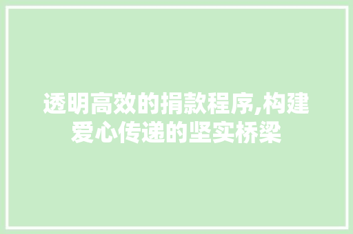 透明高效的捐款程序,构建爱心传递的坚实桥梁