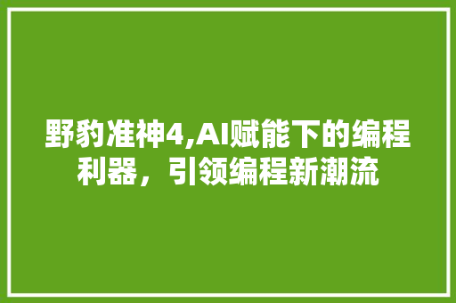 野豹准神4,AI赋能下的编程利器，引领编程新潮流