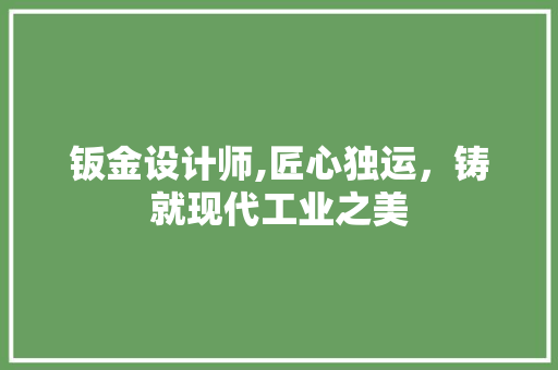 钣金设计师,匠心独运，铸就现代工业之美