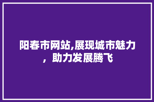 阳春市网站,展现城市魅力，助力发展腾飞