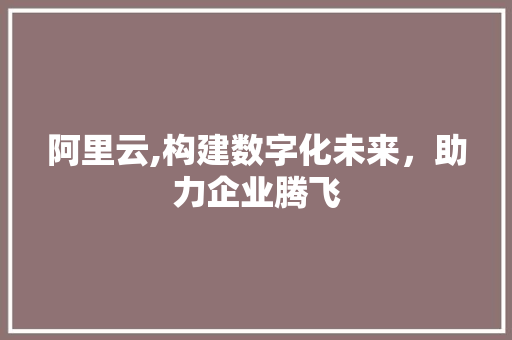 阿里云,构建数字化未来，助力企业腾飞