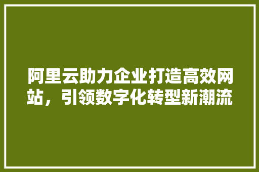 阿里云助力企业打造高效网站，引领数字化转型新潮流