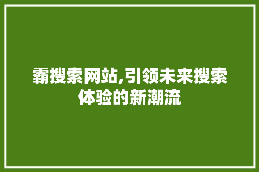 霸搜索网站,引领未来搜索体验的新潮流