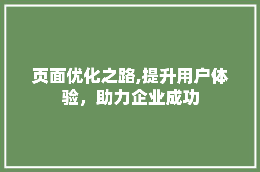 页面优化之路,提升用户体验，助力企业成功