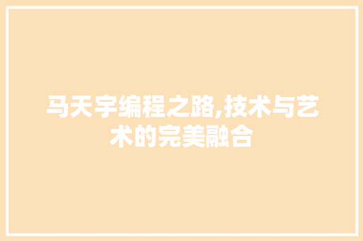 马天宇编程之路,技术与艺术的完美融合