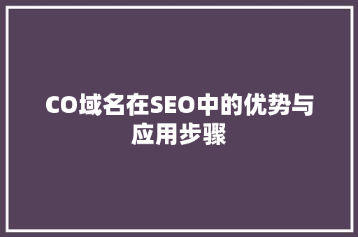 CO域名在SEO中的优势与应用步骤