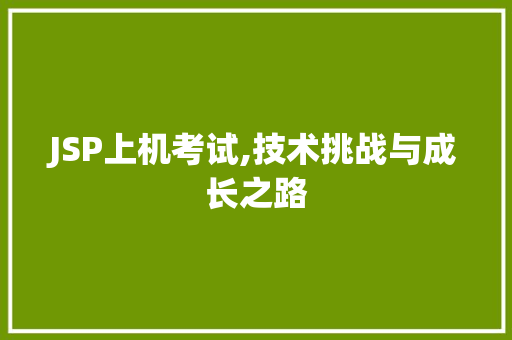 JSP上机考试,技术挑战与成长之路