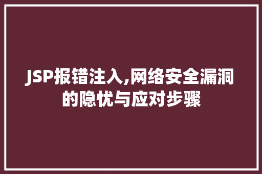 JSP报错注入,网络安全漏洞的隐忧与应对步骤