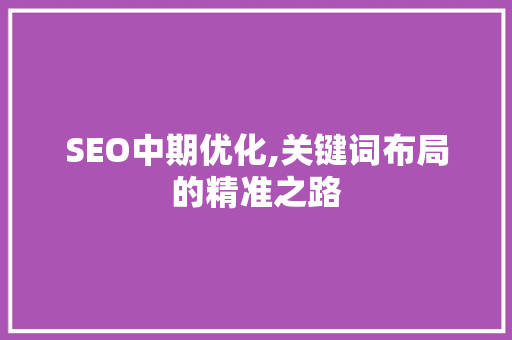 SEO中期优化,关键词布局的精准之路