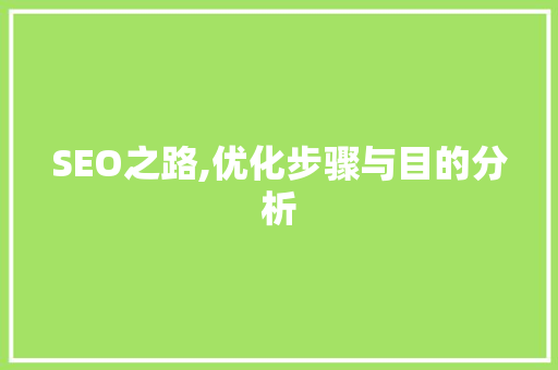 SEO之路,优化步骤与目的分析