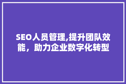 SEO人员管理,提升团队效能，助力企业数字化转型