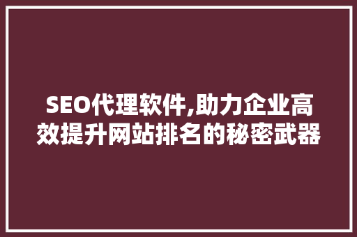 SEO代理软件,助力企业高效提升网站排名的秘密武器