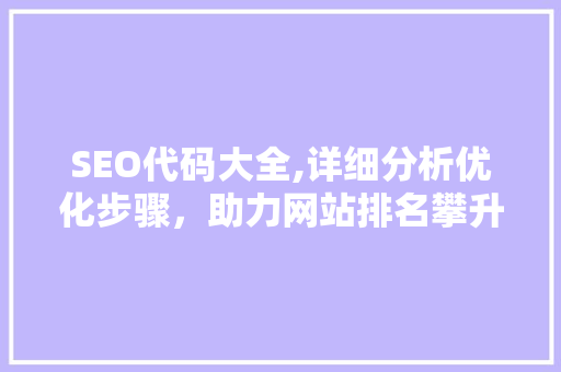 SEO代码大全,详细分析优化步骤，助力网站排名攀升