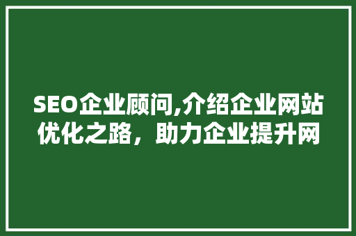 SEO企业顾问,介绍企业网站优化之路，助力企业提升网络竞争力