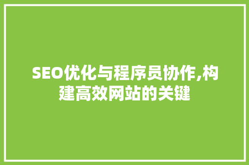 SEO优化与程序员协作,构建高效网站的关键