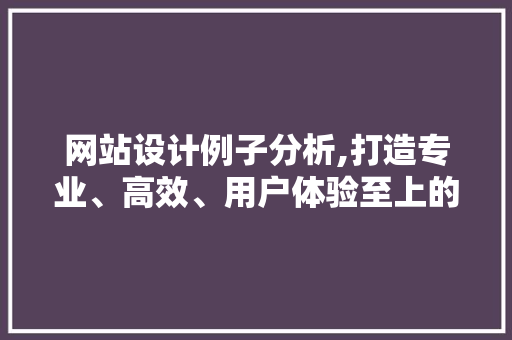 网站设计例子分析,打造专业、高效、用户体验至上的在线平台