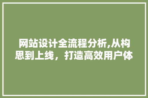 网站设计全流程分析,从构思到上线，打造高效用户体验