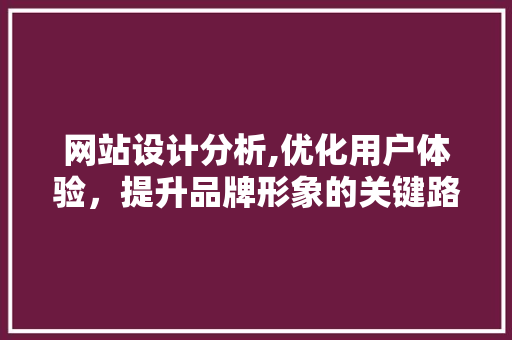 网站设计分析,优化用户体验，提升品牌形象的关键路径